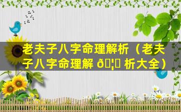 老夫子八字命理解析（老夫子八字命理解 🦅 析大全）
